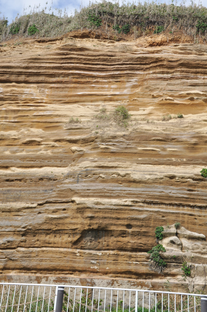 地質学的な価値のある飯岡地層