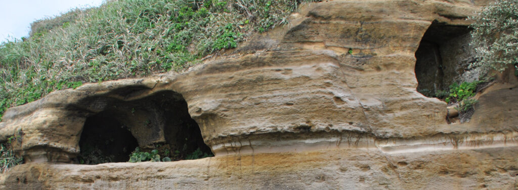 横に並ぶ屛風ヶ浦の崖の穴の秘密。人が掘った?
