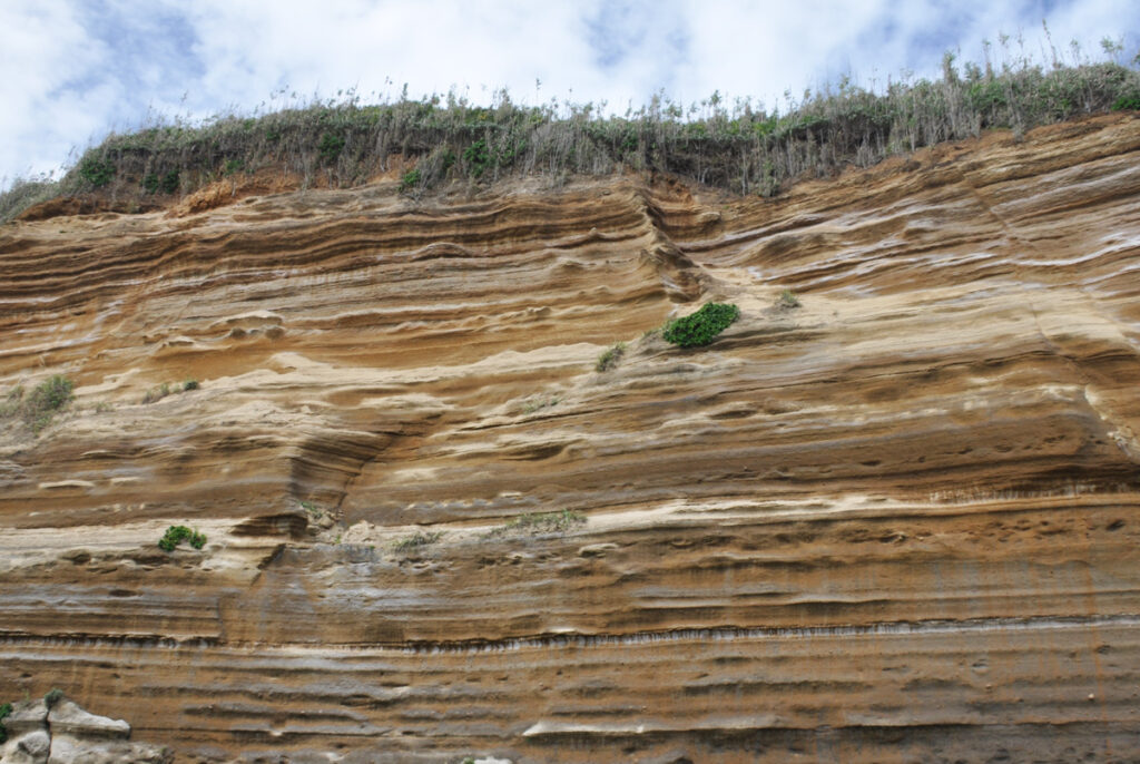 縞模様:下総台地が削られてできた断面