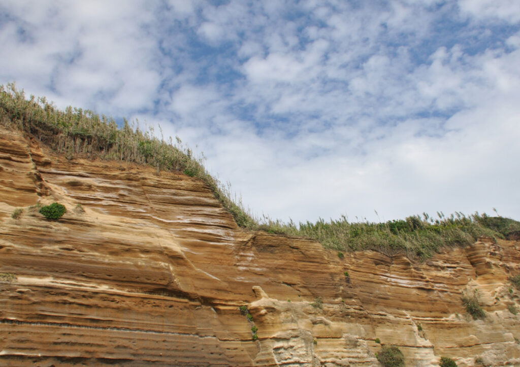 縞模様は下総台地が削られてできた断面は泥岩