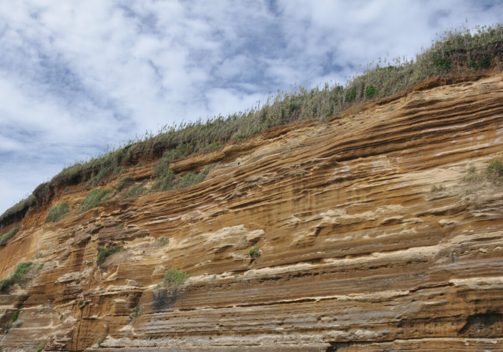 頼朝の愛した景色、その真の姿