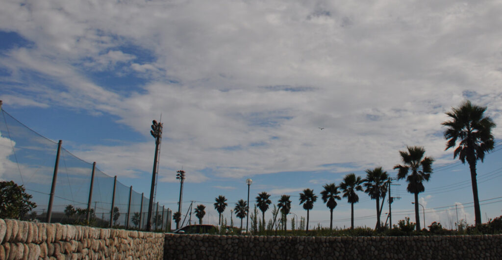 防波堤(護岸)の目的と影響