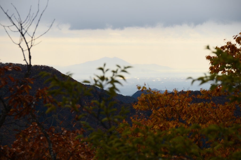 まだ夜の余韻を残して暗い日光