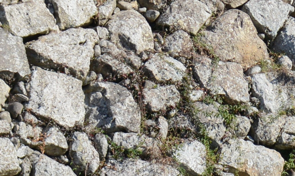 ◆荒々しい野面積みの迫力