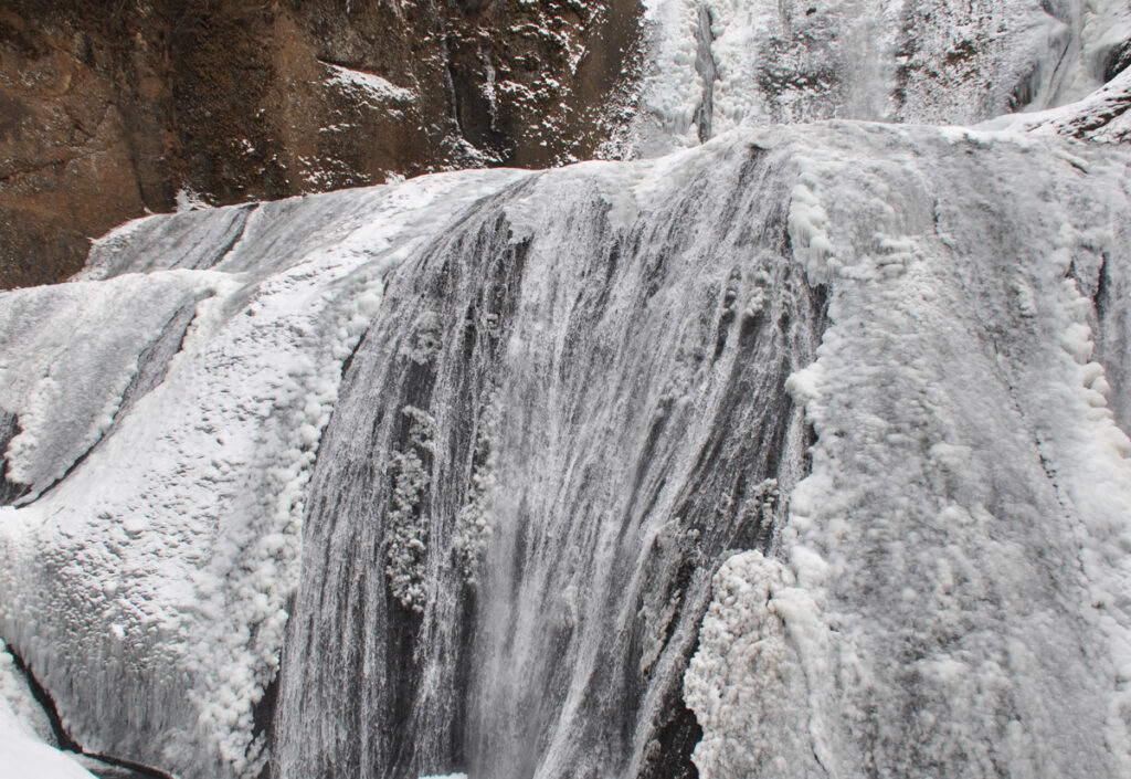 貴婦人が白いフレアスカートを優雅に広げたような曲線。