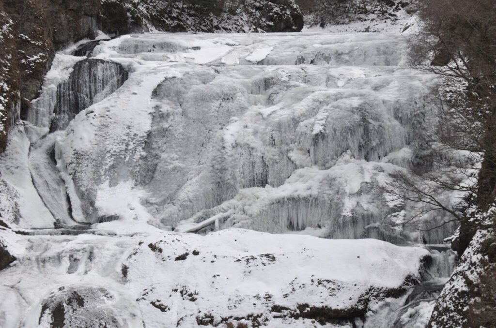大理石の壁のように重厚で、冷徹な気品を持つ。