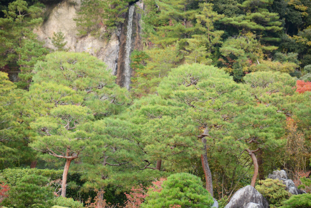 遠くには那智の滝を彷彿とさせる一筋の滝