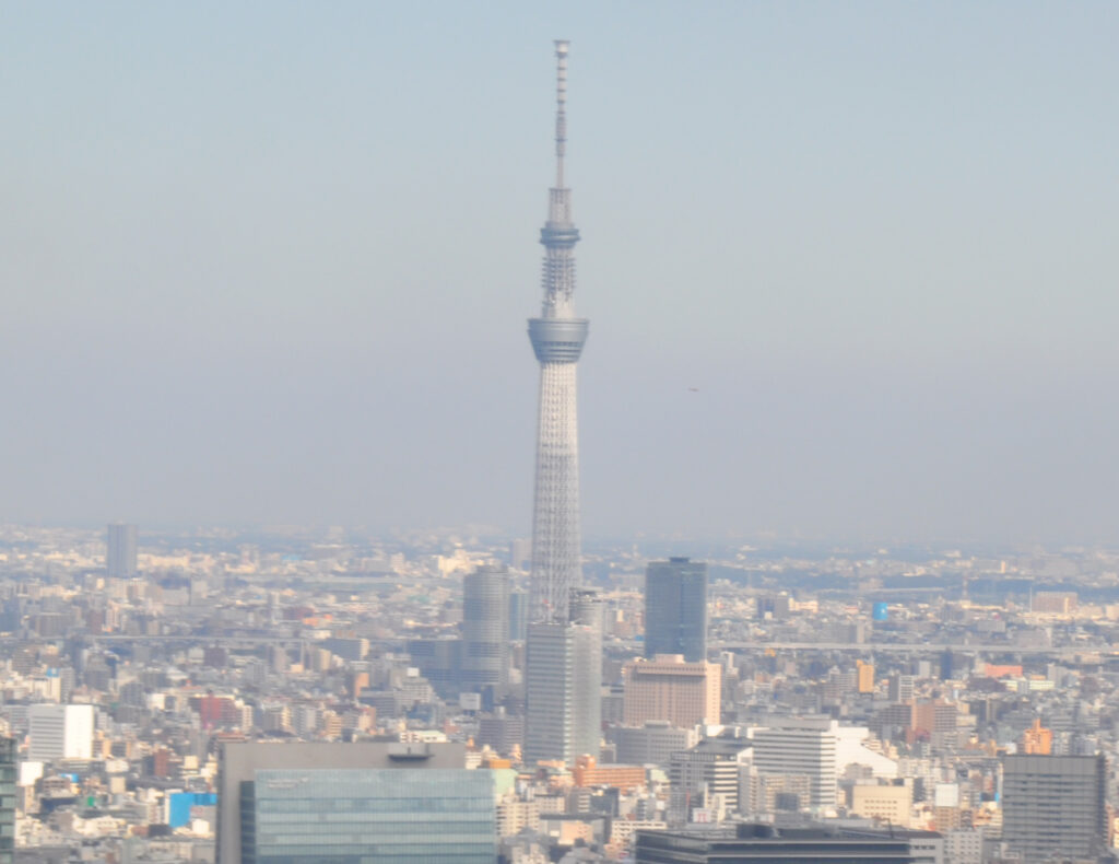 ◆色褪せない理由スカイツリーの堂々たる姿