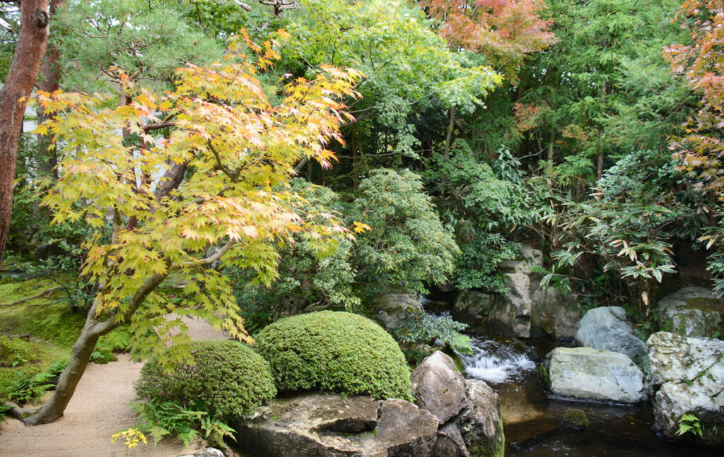通路左側の小さな箱庭