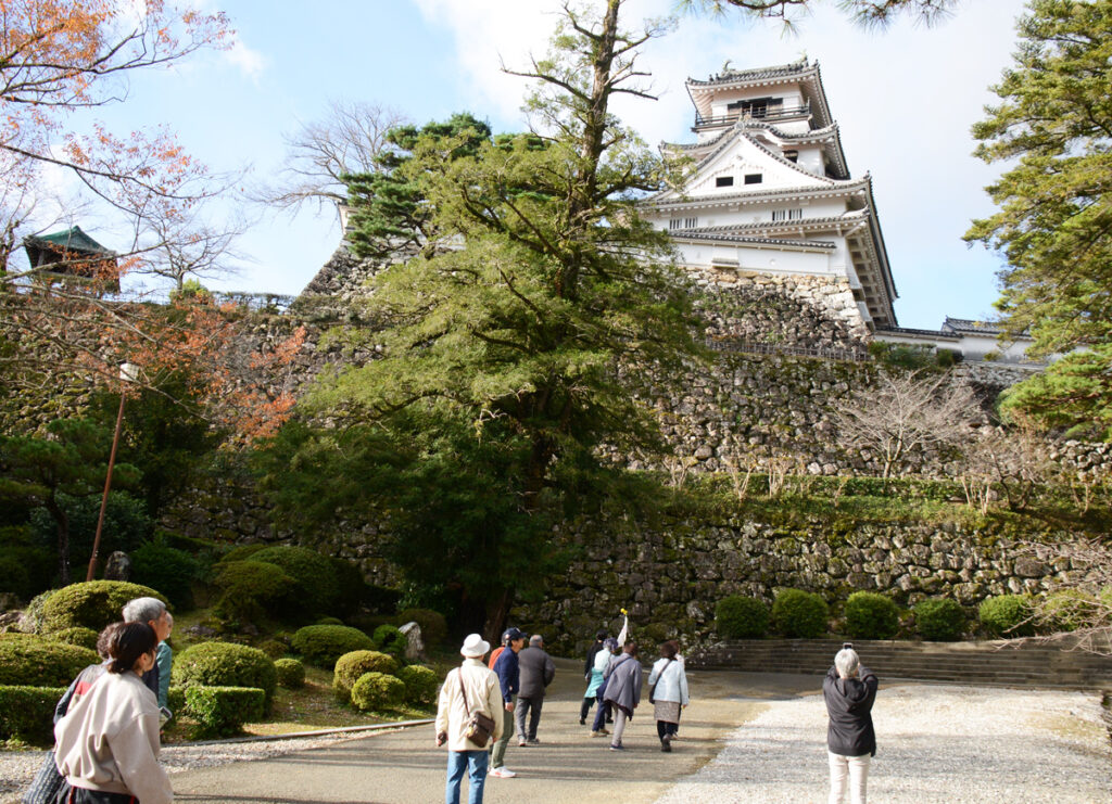 龍馬の志を育んだ厳しい身分制度