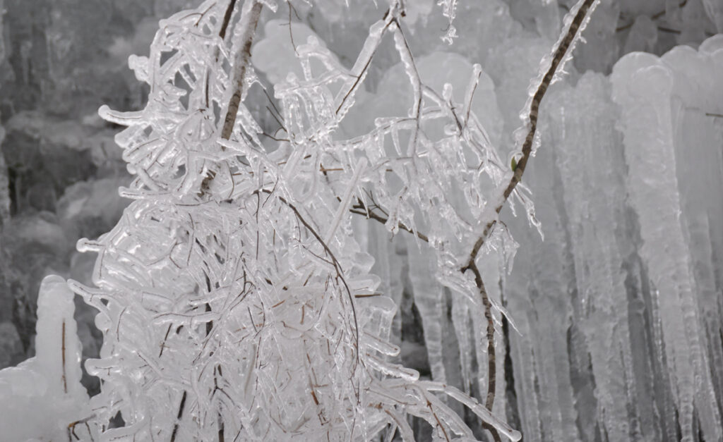 白い花が咲いているようなツララ。