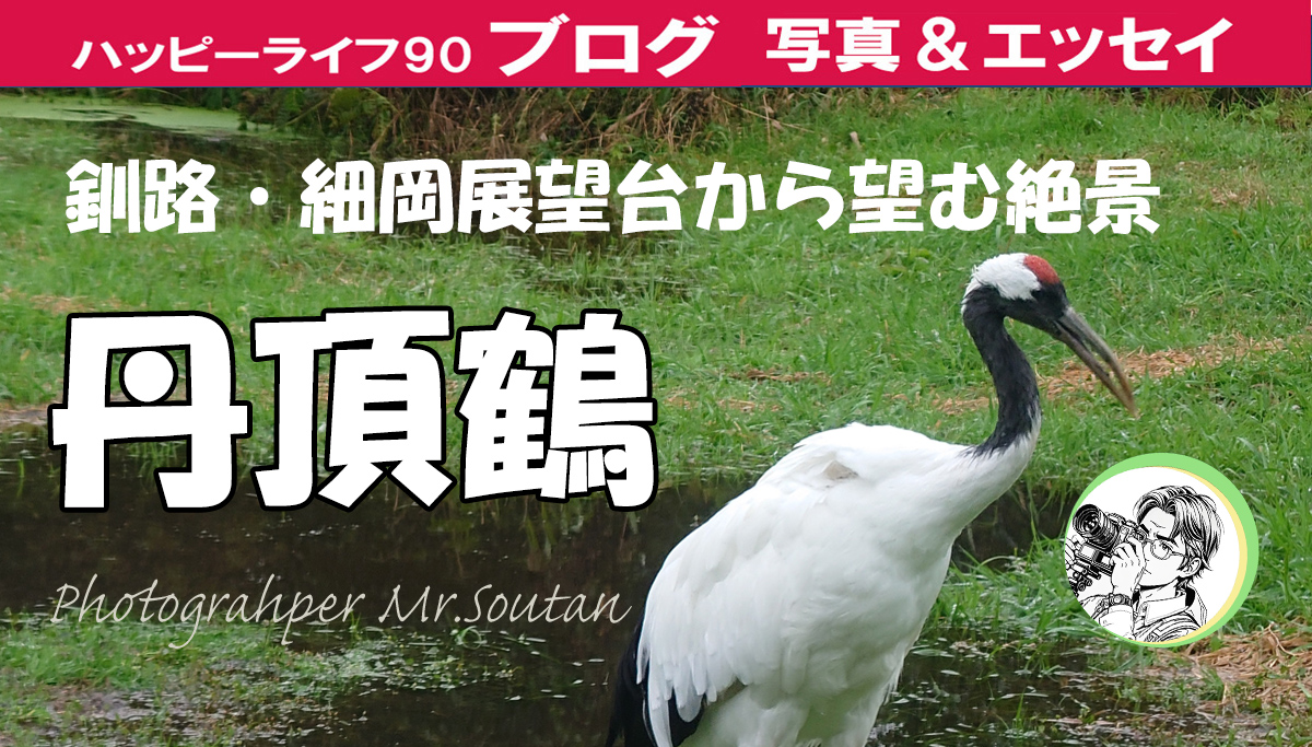 丹頂鶴のダンスショー