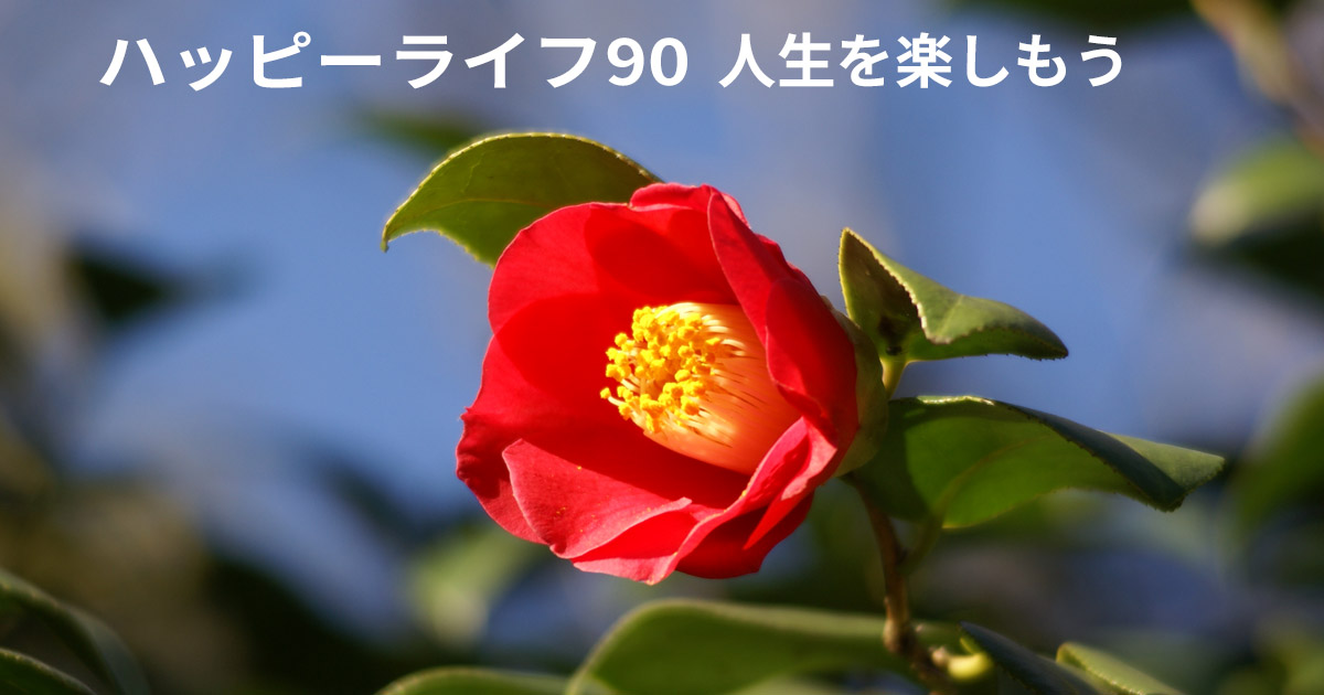 ハッピーライフ90