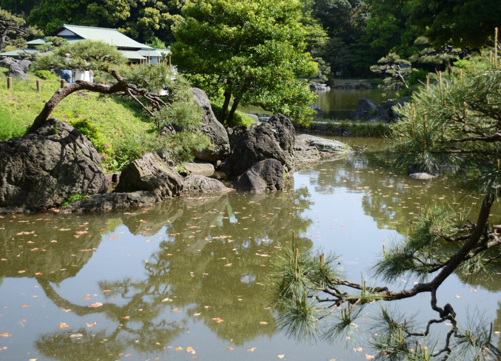 清澄庭園あふれる名石