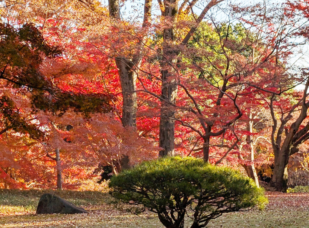 殿ヶ谷戸公園