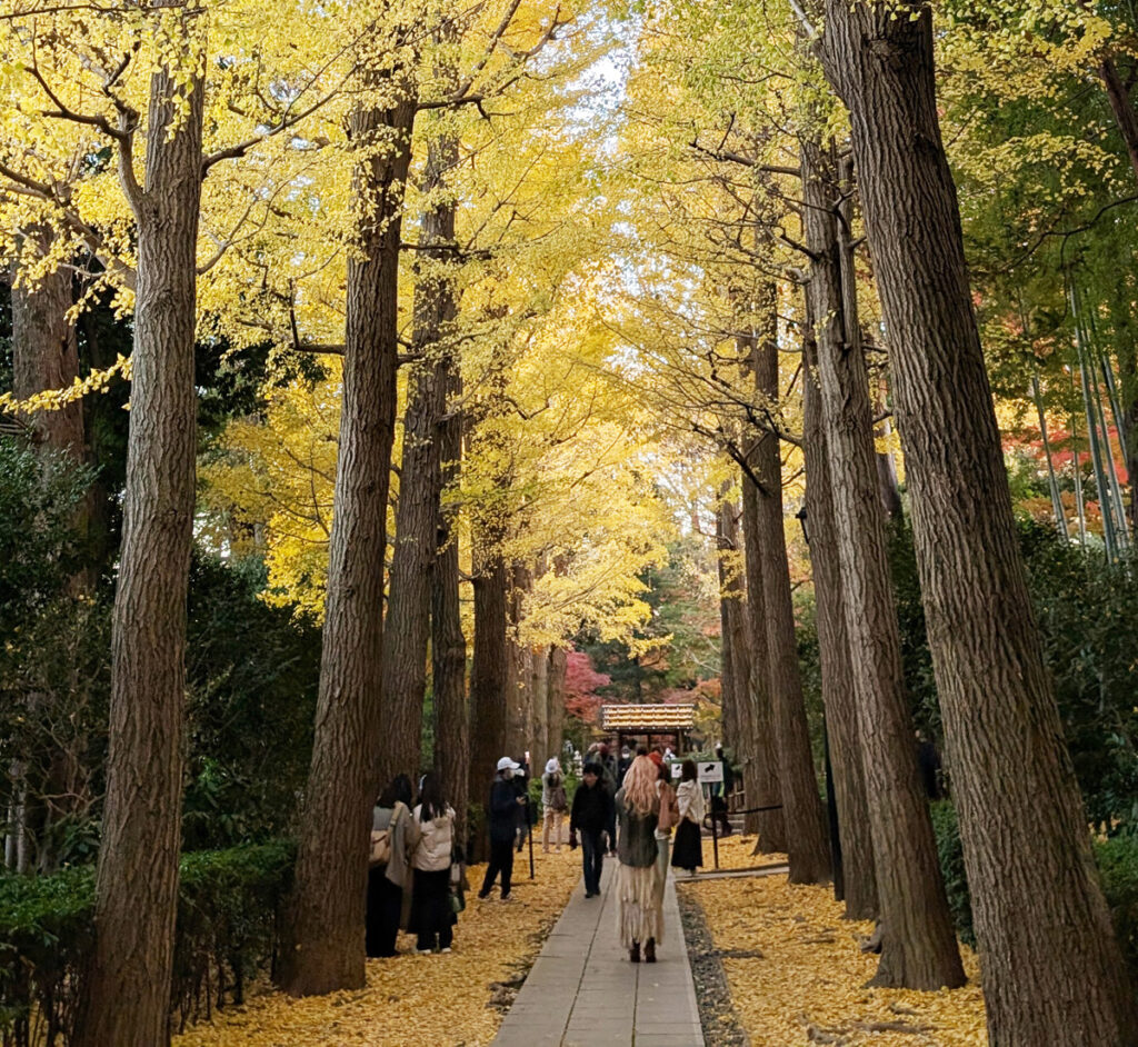 殿ヶ谷戸公園