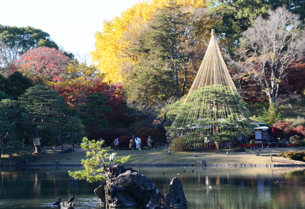 六義園(秋)紅葉のグラデーション