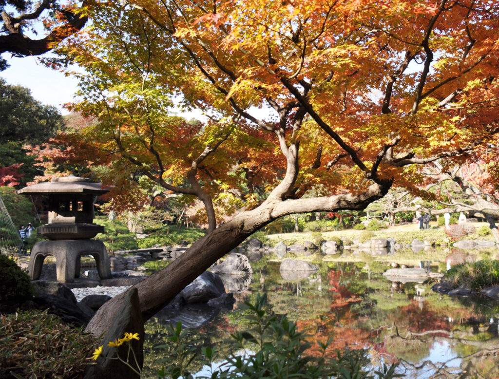 旧岩崎邸庭園