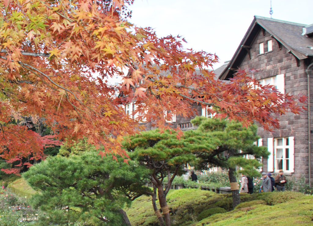 旧岩崎邸庭園