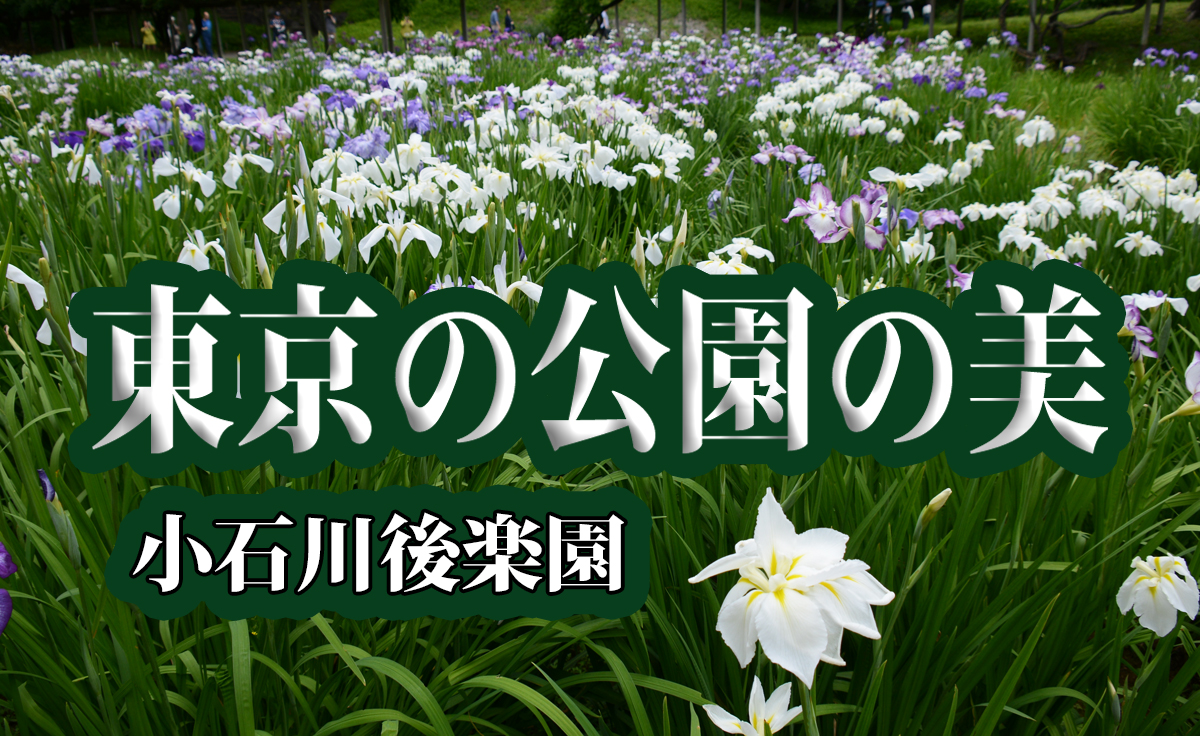 東京の公園の美