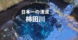 清流:柿田川