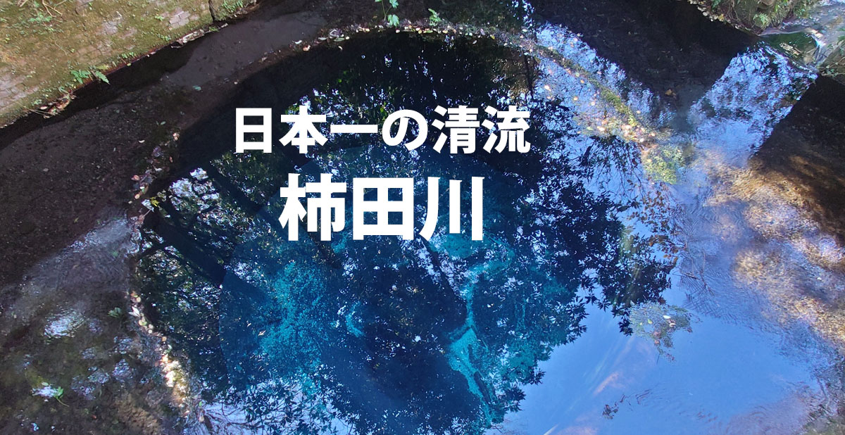 清流：柿田川